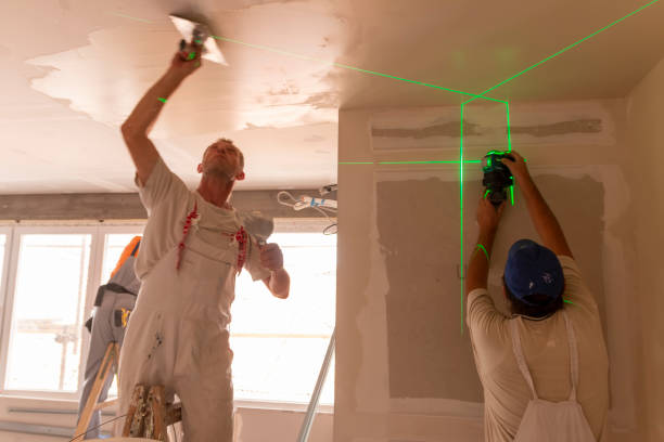 Best Ceiling Drywall Installation  in USA